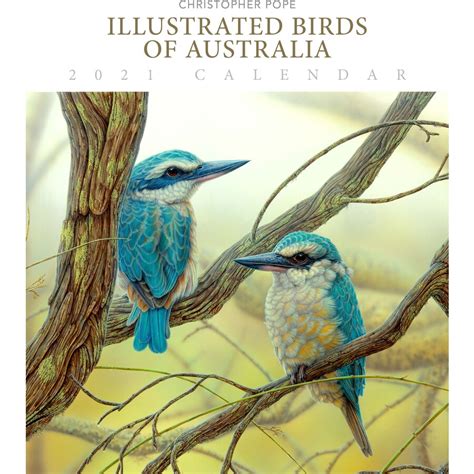 Illustrated Birds Of Australia 2021 Deluxe Calendars Big W