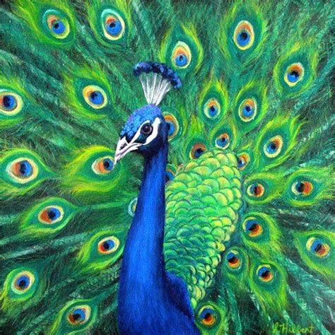 Peacock Painting By Sheila Hibbert Pixels