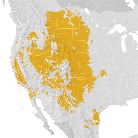 Ferruginous Hawk Range Map Post Breeding Migration Ebird Status