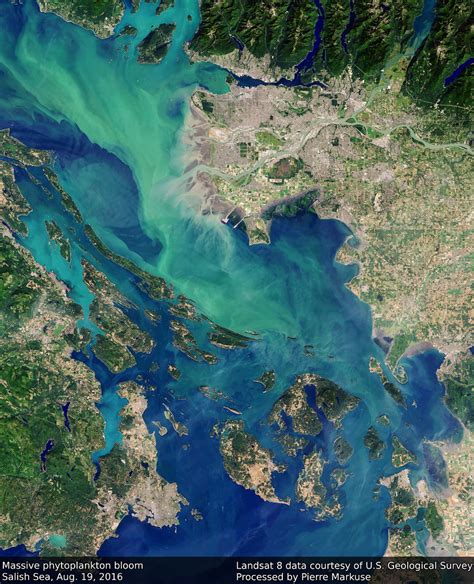 Earth From Space Phytoplankton Bloom Salish Sea In