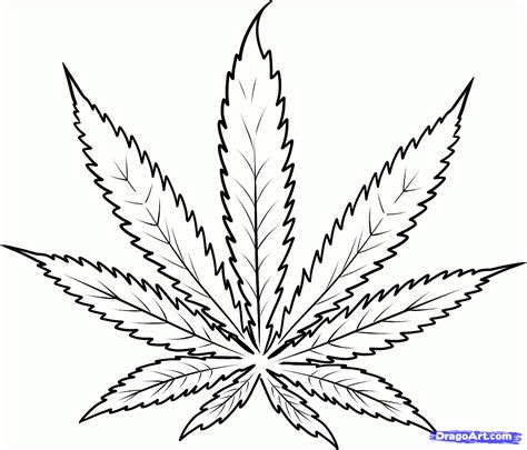 23 drawings of weed plants. Free Weed Plant Drawing, Download Free Clip Art, Free Clip ...