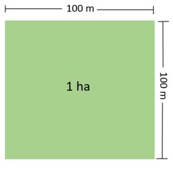 The square meters unit number 10,000.00 m2, sq m converts to 1 ha, one hectare. Hektare - Wikipedia bahasa Indonesia, ensiklopedia bebas