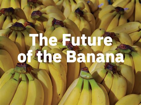 The Future Of The Banana — The Future Market