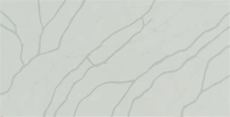 Calacatta Sierra Msi Q Quartz Countertop Slab In Chicago Granite