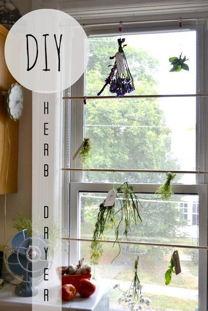 Window Herb Dryer Herb Drying Racks Window Herbs Drying Herbs