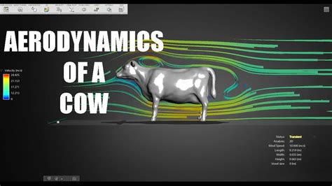 Aerodynamics Of A Cow Youtube