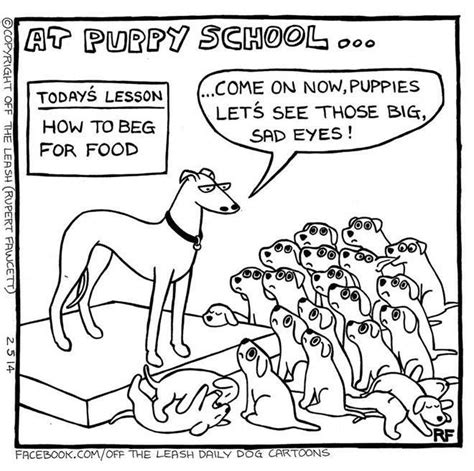 Pin By Jessica On Dogs In 2020 Puppy School Cartoon Dog Puppies