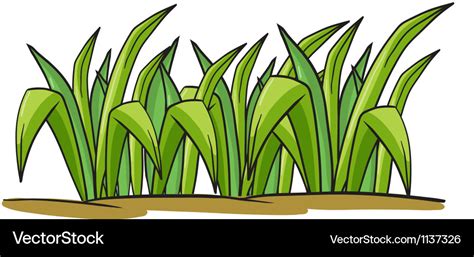 A Grass Royalty Free Vector Image Vectorstock