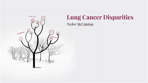Lung Cancer Disparities By Taylor Mccuiston On Prezi