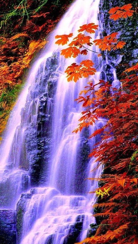 Pin By Velve Moore On Water Falls Pinterest Beautiful Waterfalls