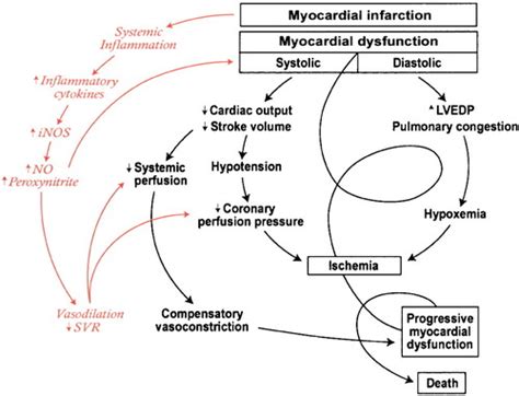 Pathophysiology Of Myocardial Infarction Figure 4 From