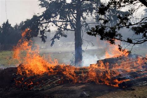 Insurance Woes Plague Efforts To Cut Growing Wildfire Risks Reuters