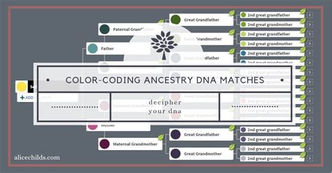 Color Coding Ancestry Dna Matches Genealogynow