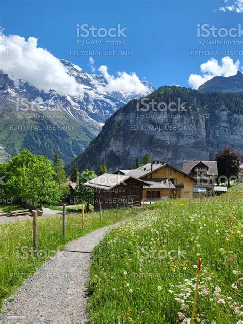 Beautiful Summer Landscape In Gimmelwald Village Stock Photo Download