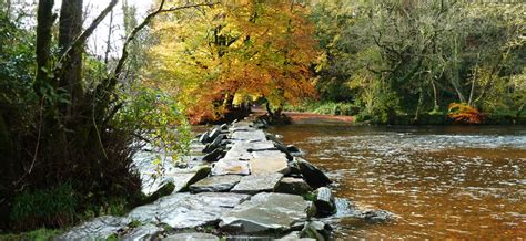 Tarr Steps Ancient Bridge And Nature Reserve The Best Of Exmoor Blog
