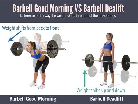 Deadlift Vs Good Morning How Are They Different Fitwirr Barbell Good Morning Good