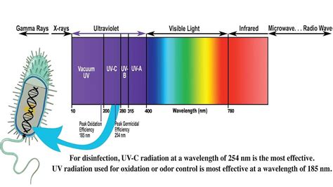 Understanding Ultraviolet Uv Radiation And Its Effects Youtube