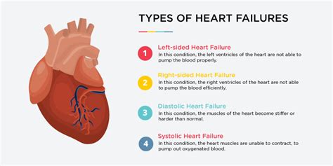 Heart Failure Symptoms Causes And Diagnosis
