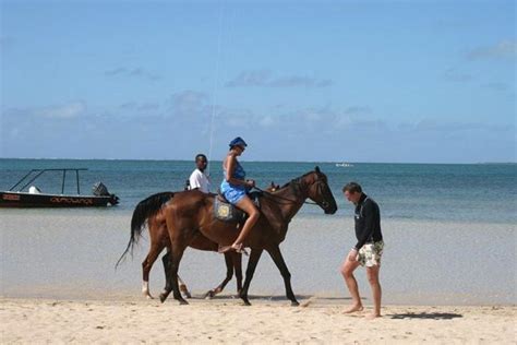 A Voir à Faire à Rodrigues