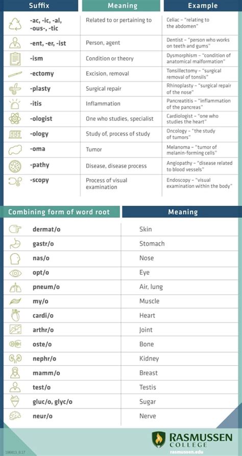 Cheat Sheet Medical Terminology Examples Medical Terminology The Body Review Cheat Sheet