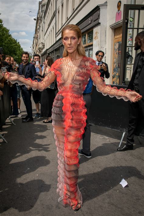Estos Son Los Looks Para El Recuerdo Que Nos Ha Dejado Céline Dion En Los Desfiles De La