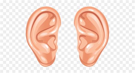 Download Ear Png Transparent Images Human Ear Ears Clipart 153826