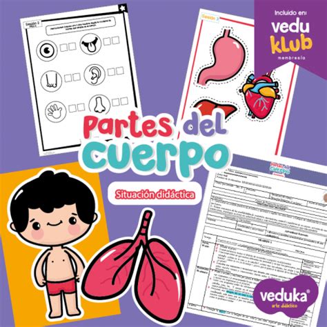 Partes Del Cuerpo En Castellano 2 Imagenes Educativas