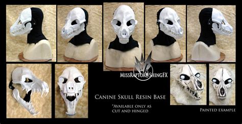 Canine Skull Resin Base By Missraptor On Deviantart