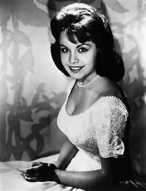 annette funicello annette funicello old hollywood glamour beautiful celebrities