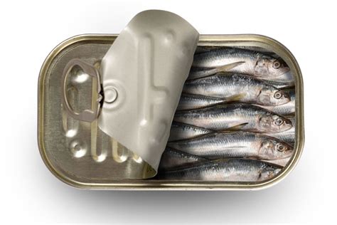 What Are Sardines And How Are They Used