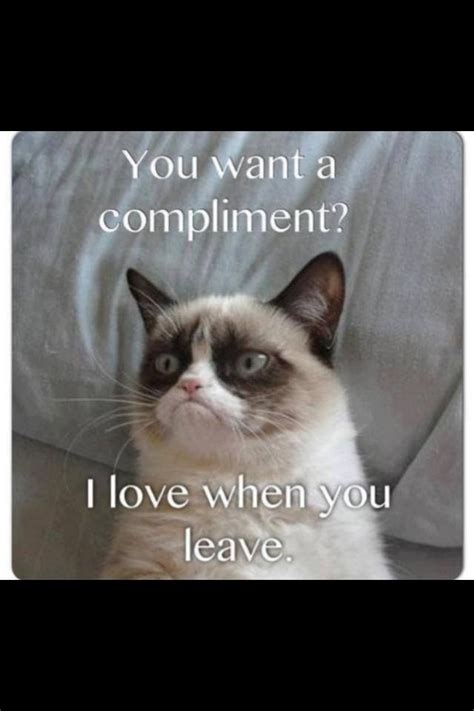 I also include personalized office gifts like personalized want a special gift for yourself or a great job gift? Grumpy Cat =^..^= | Grumpy cat humor, Funny memes about ...