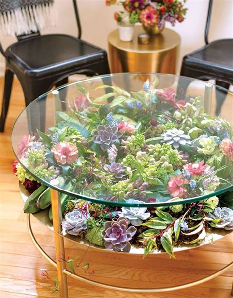 Indoor Succulent Coffee Table Ideas Homemydesign