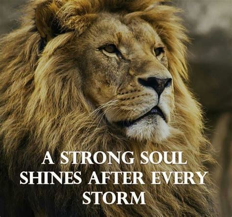 Motivational Quotes Lion Inspiration