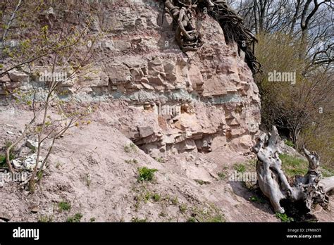 Dolostone Dolomite Rock Carbonate Hi Res Stock Photography And Images