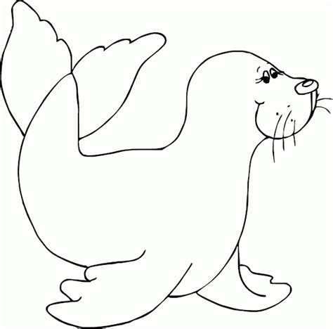 Unduh 91 Gambar Anjing Laut Kartun HD Terbaik Info Gambar