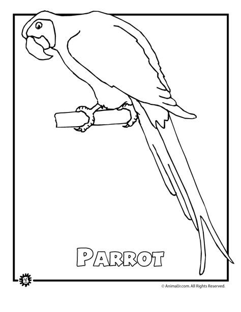 Tropical rainforest rainforest animals coloring pages. endangered-rainforest-parro | Woo! Jr. Kids Activities