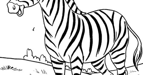 Gambar Mewarnai Zebra Untuk Anak PAUD dan TK
