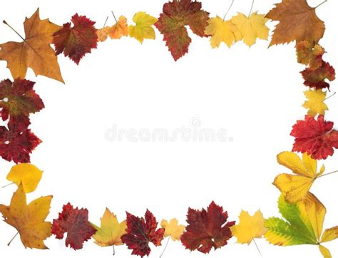 Autumn Leaves Border Design Stock Illustration Illustration Of Colors