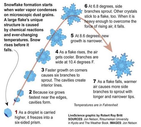 Snowflake Snowflakes Science Winter Science Winter Science Activities