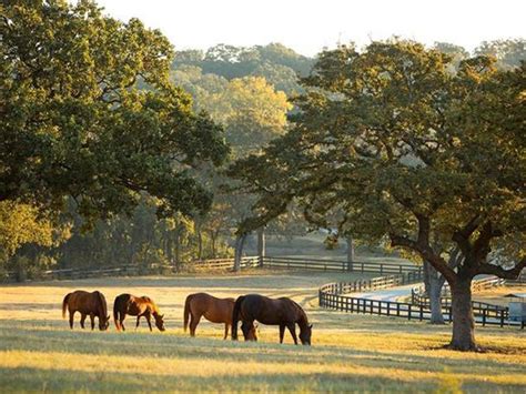 North Texas Ranch With Celeb Ties Trots Onto Market For 20 Million