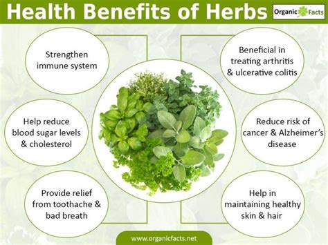 Benefits Of Herbs In Beauty Herbal Nail Bar