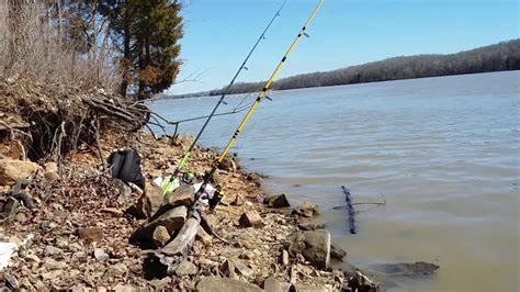 One Of My Flathead Catfish Holes Cumberland River Bank Fishing Youtube