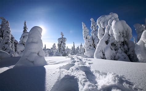 Winter In Finland Wallpapers Hd Wallpapers Id 9702