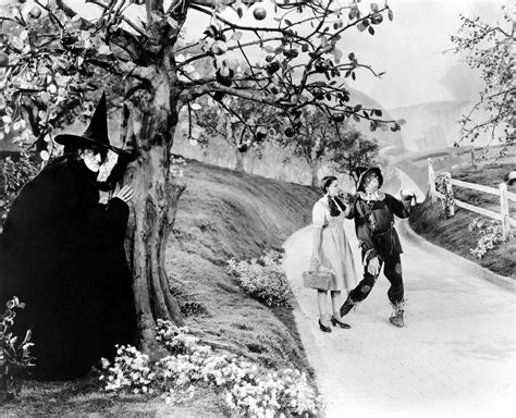 Wizard Of Oz Stills Classic Movies Photo 19565998 Fanpop
