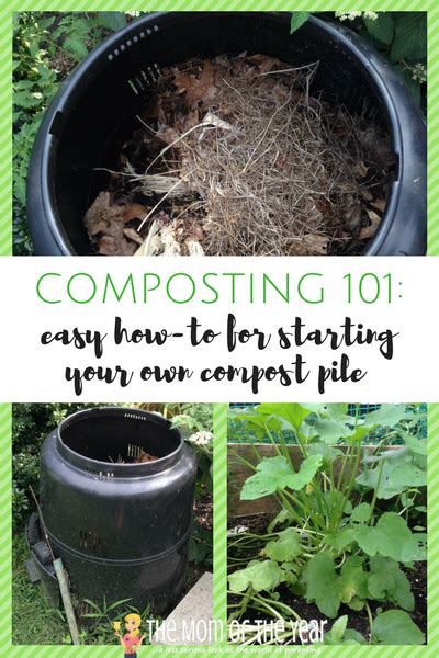 Composting 101 How To Start Your Own Compost Pile The Mom Of The Year