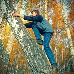 Teenager Climb On The Tree Stock Photo Image 44840390