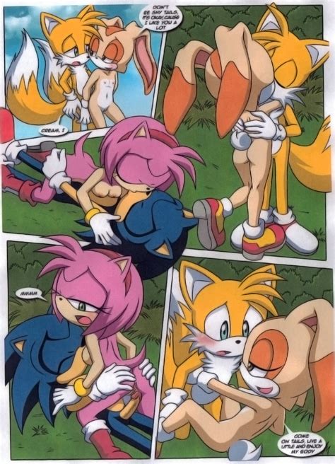 Rule 34 A Sparring Session Amy Rose Ass Blush Color Cream The Rabbit Dakina Writer Day Fur