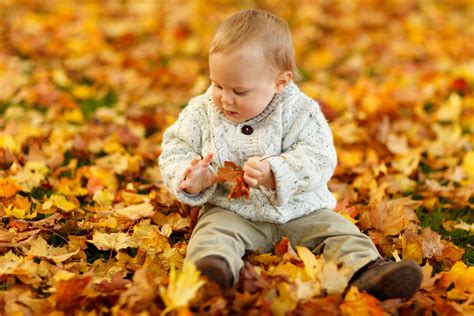 Boy Sitting In Park In Autumn Free Stock Photo Public Domain Pictures