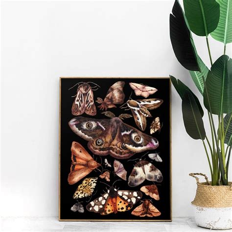 British Moths Print Moths Art Moths Chart Room Decor Moth Collection