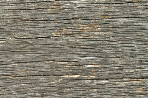 High Resolution Textures Wood 21 Dry Cracked Plank Tree Bark Texture